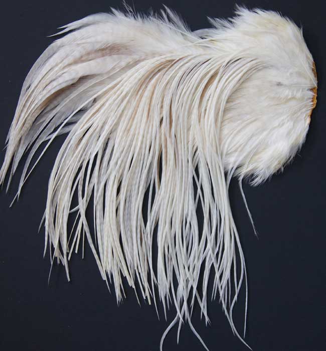Indian Cock Neck