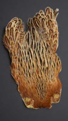 <dry fly saddles>