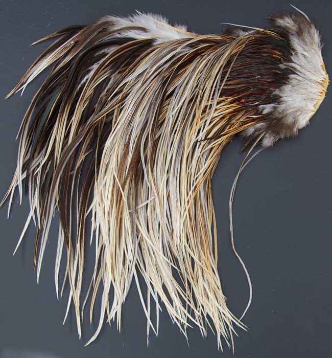 Indian Cock Neck
