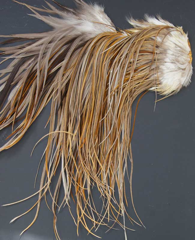 Indian Cock Neck