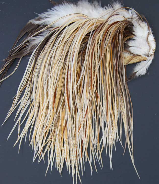Indian Cock Neck
