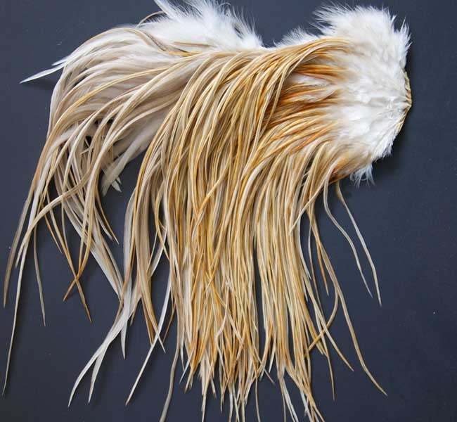 Indian Cock Neck
