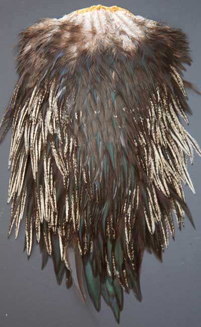Indian Cock Neck