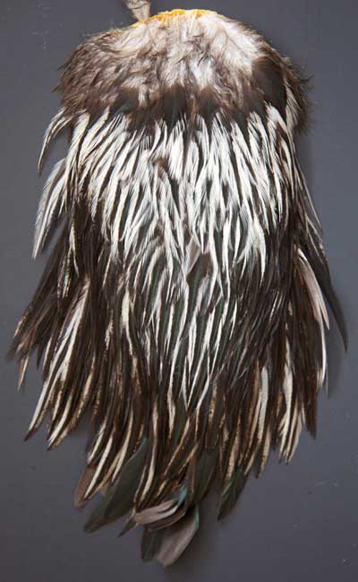 Indian Cock Neck