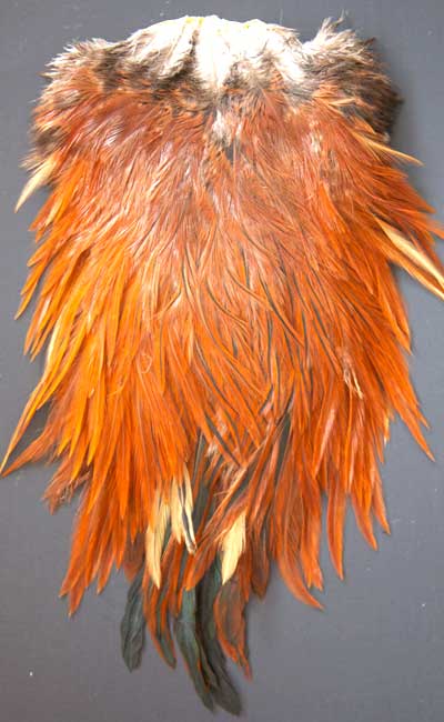 Indian Cock Neck