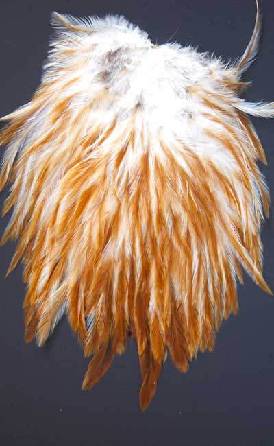 Indian Cock Neck