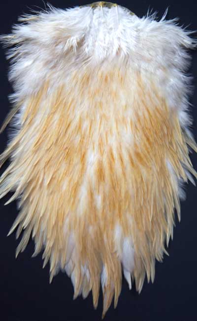 Indian Cock Neck