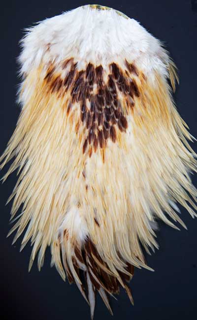 Indian Cock Neck