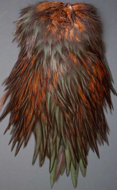 Indian Cock Neck