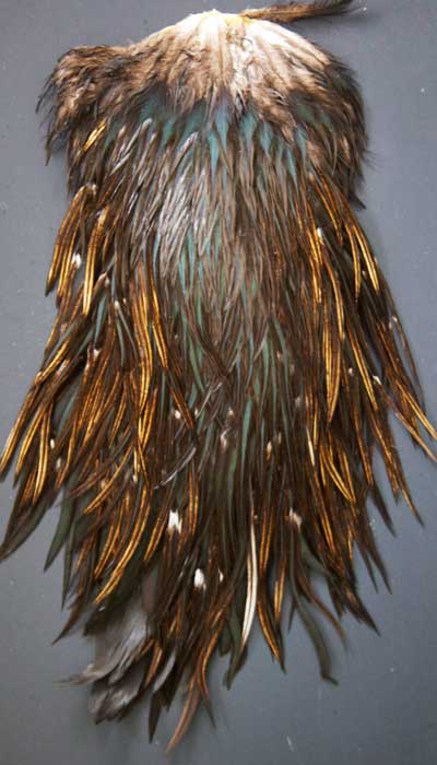 Indian Cock Neck
