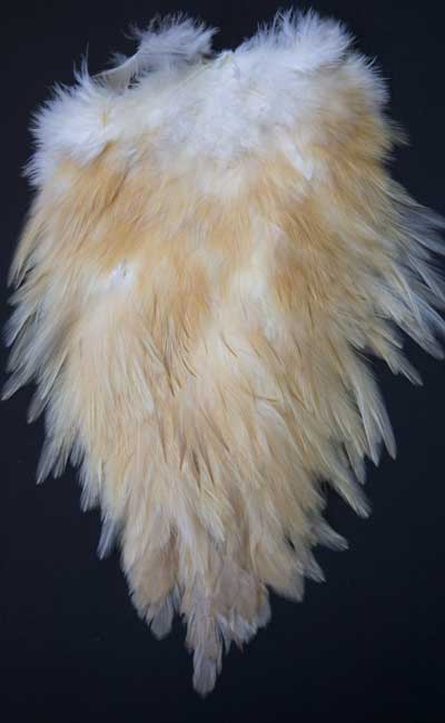 Indian Cock Neck