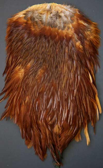 Indian Cock Neck