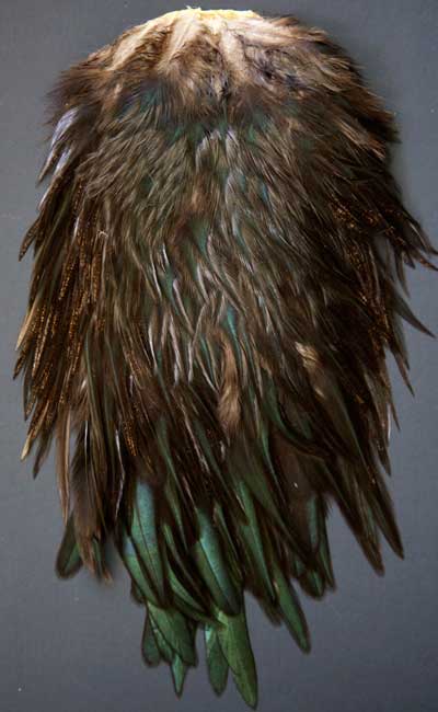 Indian Cock Neck