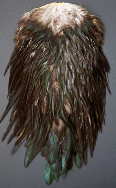 Indian Cock Neck