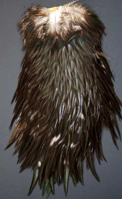 Indian Cock Neck