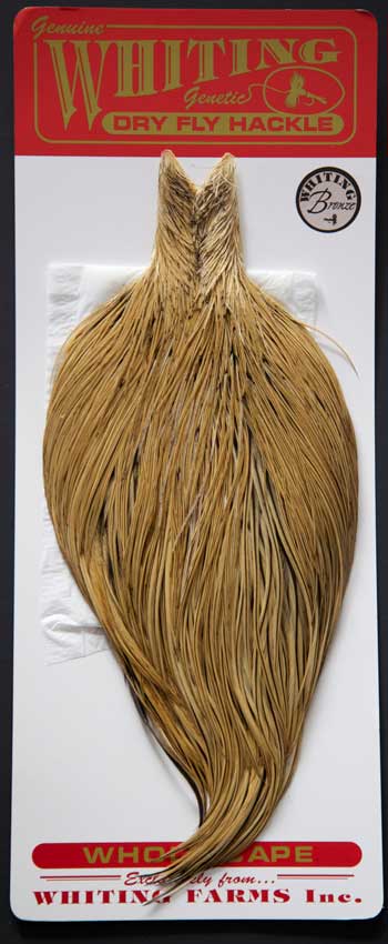 Indian Cock Neck
