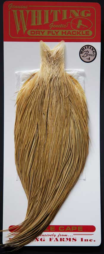 Indian Cock Neck