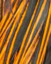 dry fly hackle