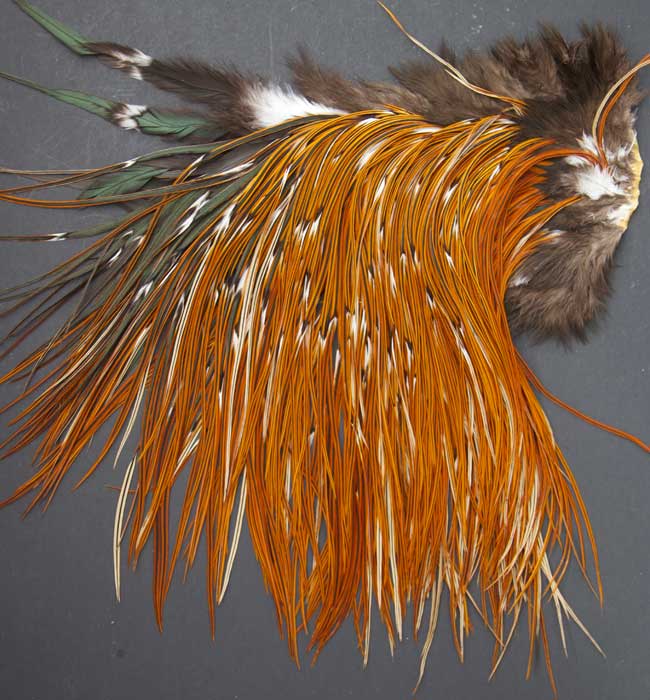 Indian Cock Neck