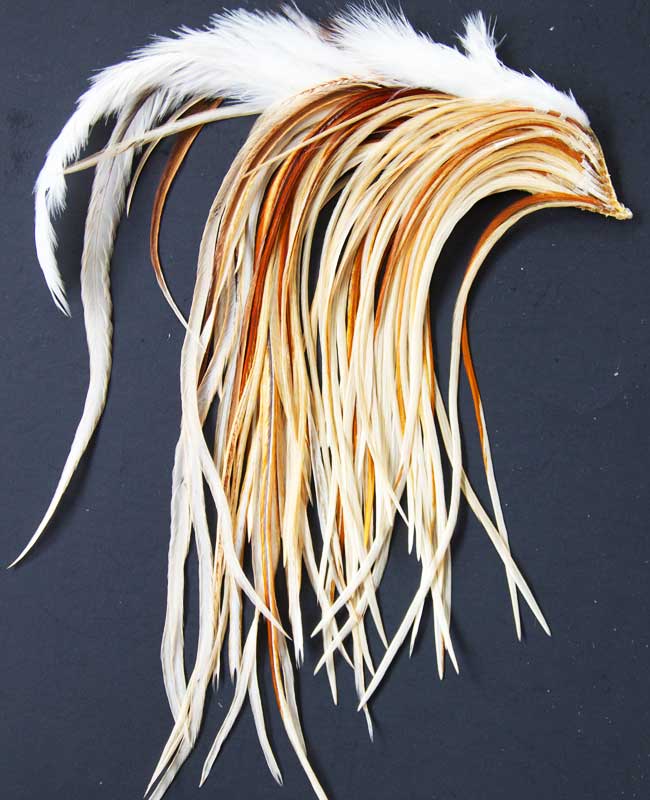 Indian Cock Neck