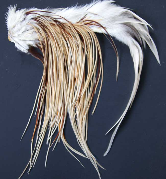 Indian Cock Neck