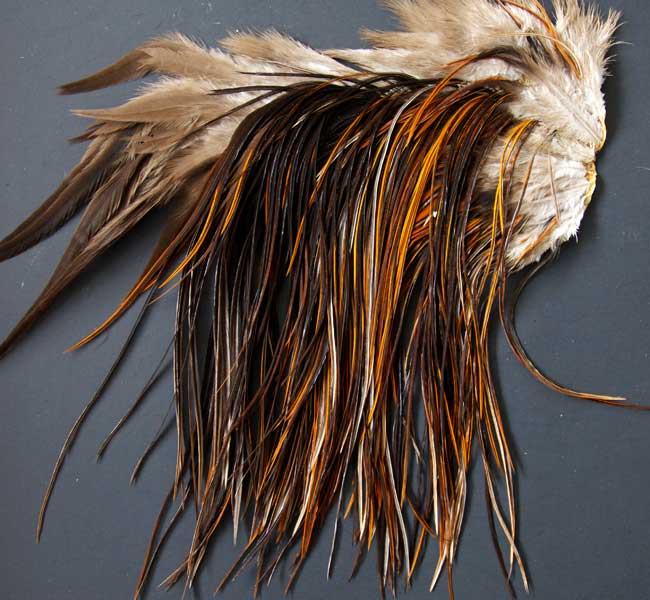 Indian Cock Neck