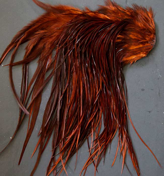 Indian Cock Neck