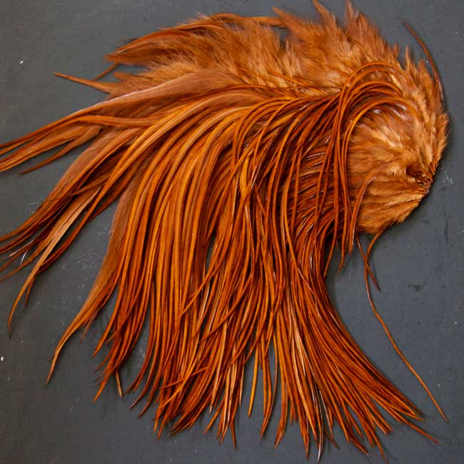 Indian Cock Neck