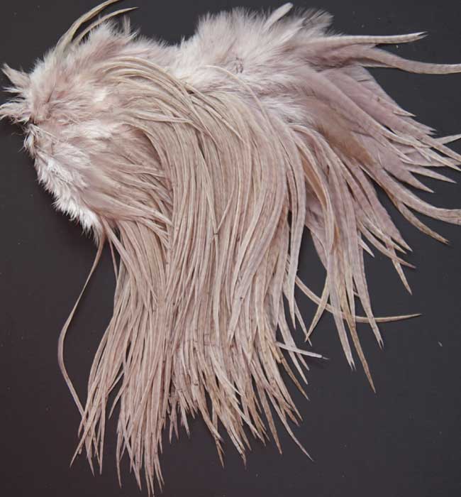 Indian Cock Neck