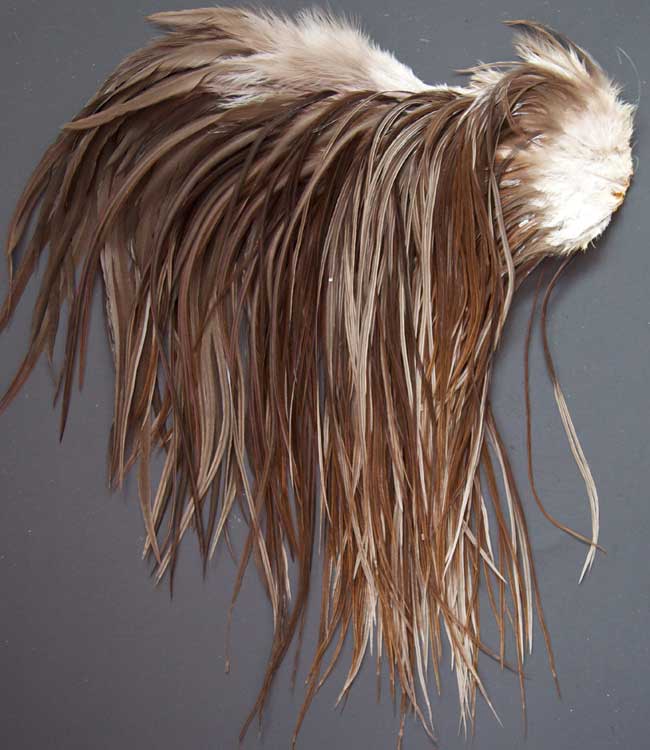 Indian Cock Neck