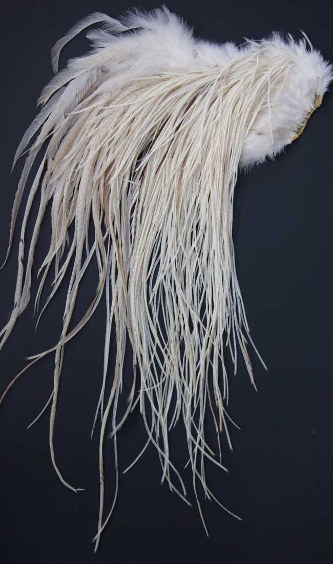 Indian Cock Neck