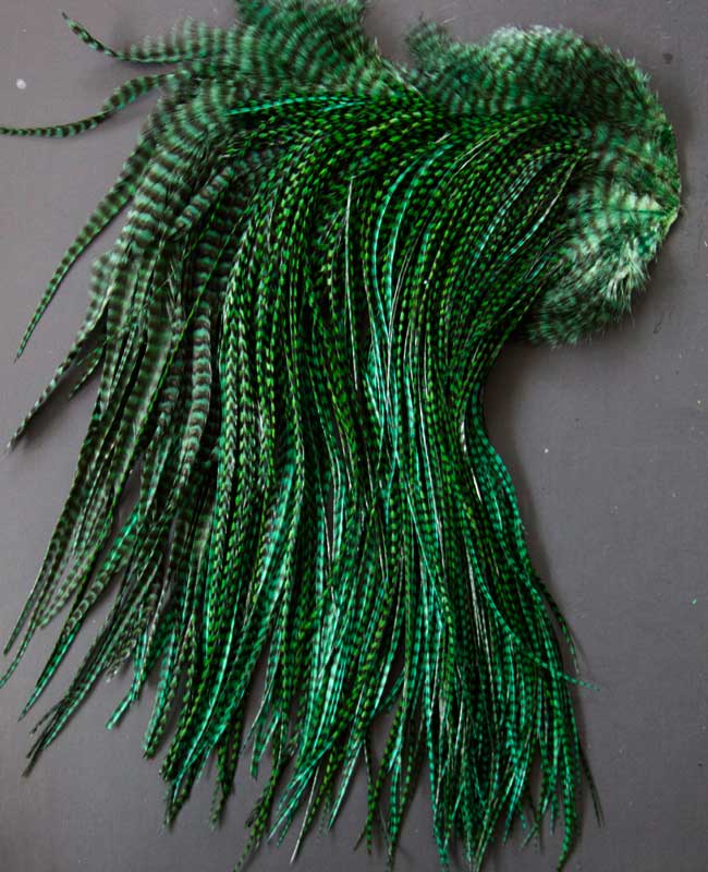 Indian Cock Neck