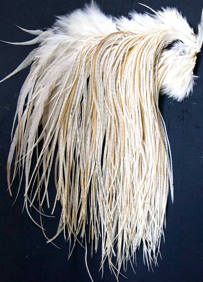 Indian Cock Neck