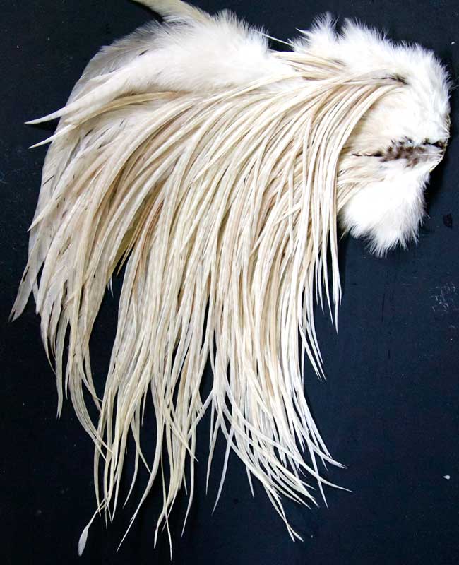 Indian Cock Neck