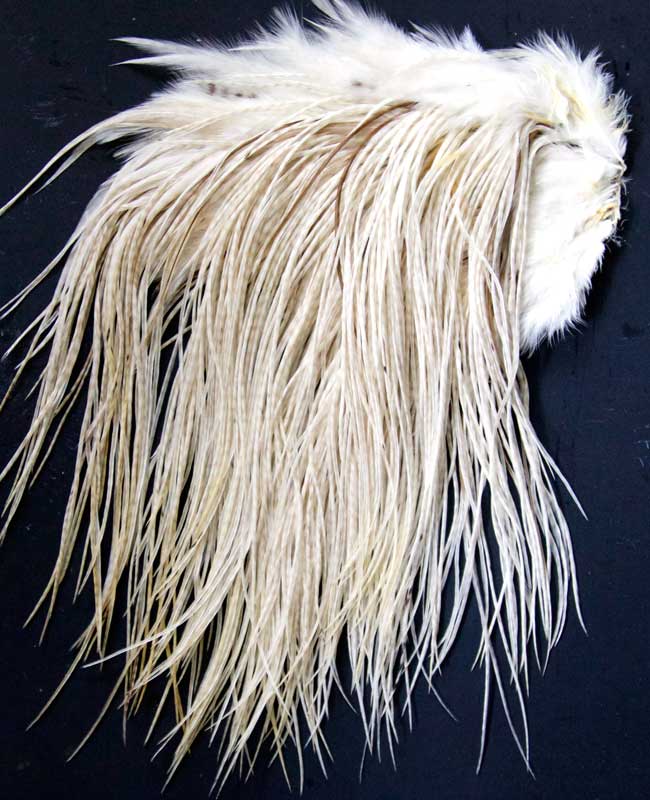 Indian Cock Neck