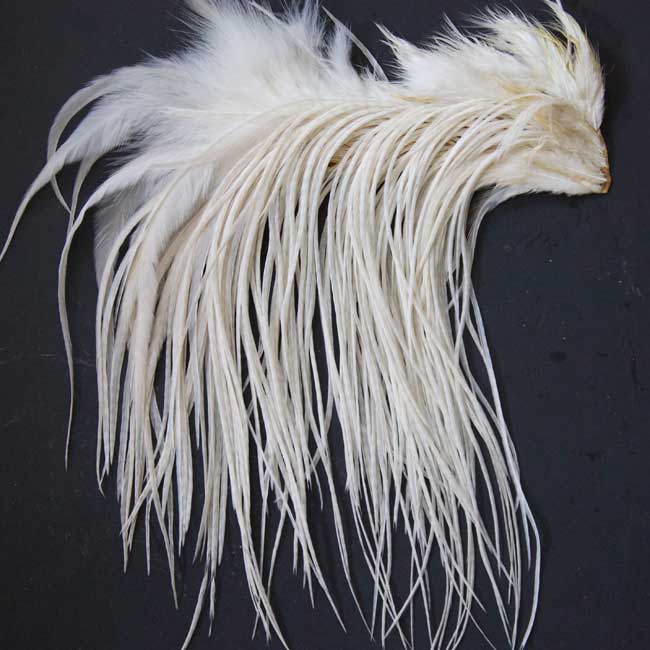 Indian Cock Neck