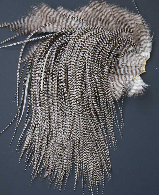 Indian Cock Neck