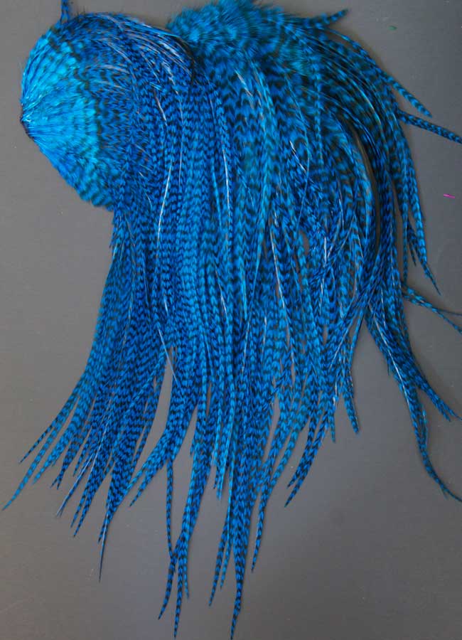 Indian Cock Neck