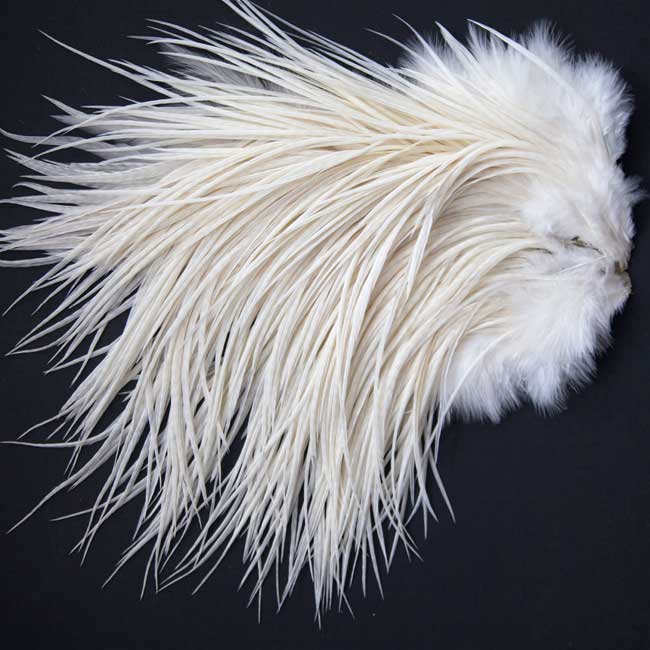 Indian Cock Neck