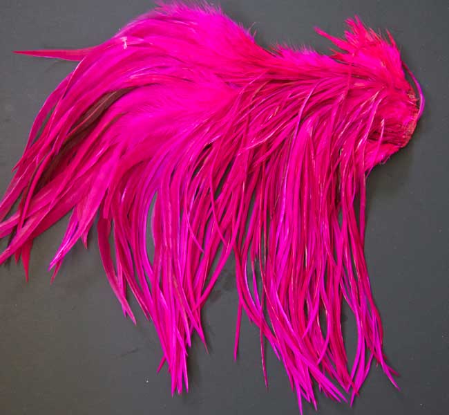 Indian Cock Neck
