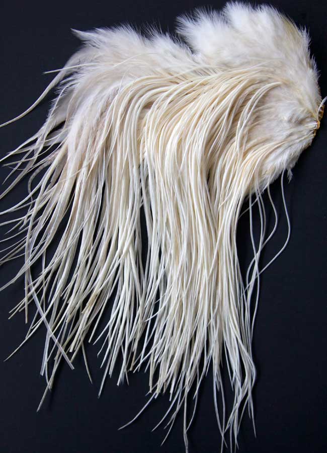 Indian Cock Neck