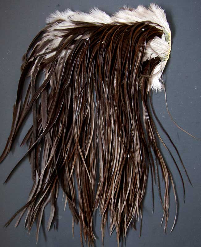 Indian Cock Neck